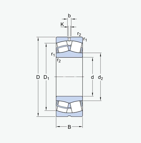 23224 CCKW33 Bearing